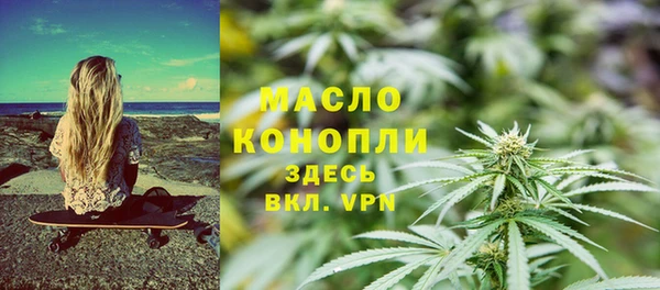 гашик Новозыбков